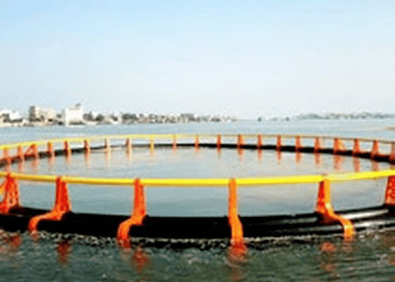 Máy đùn hồ sơ JWELL Máy làm bàn đạp biển PE