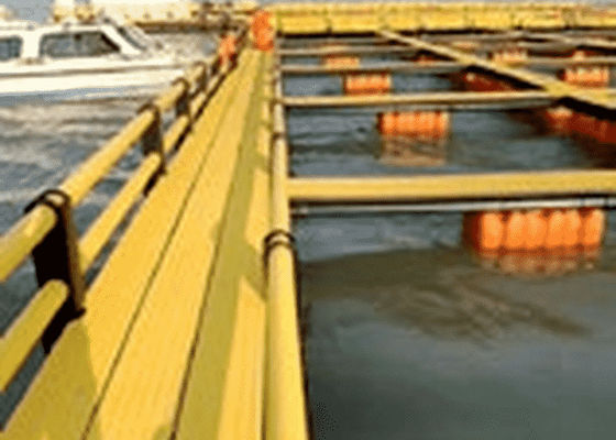 Máy đùn hồ sơ JWELL Máy làm bàn đạp biển PE